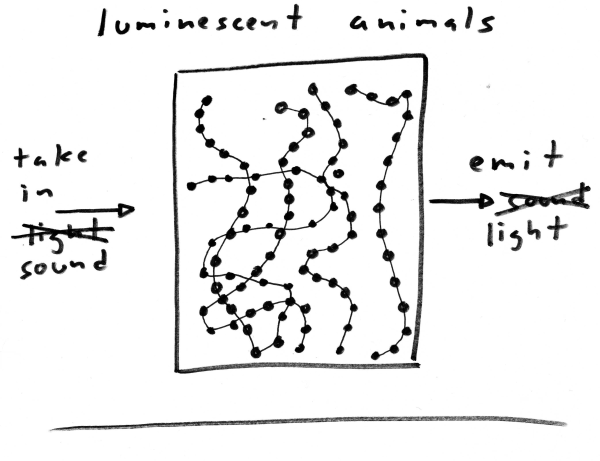 luminescent animals